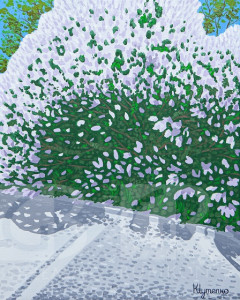 Šeříkový keř, Praha