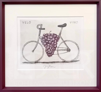 Velo Vino