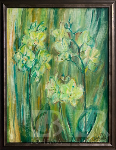 Orchidej - zelená