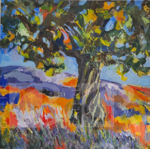 Strom v Provence